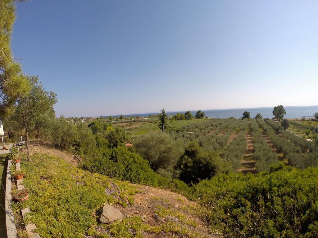 Kostas House * Gerakini